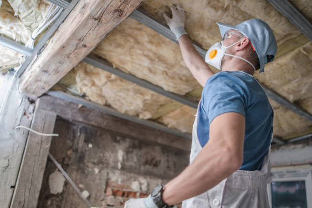 Best Insulation Maintenance and Repair in Oregon, WI